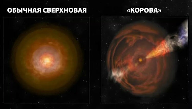 hd8nGh04Ru.jpg hd8nGh04Ru.jpg