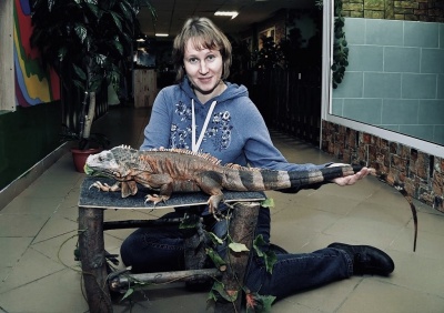 4X3nOya9sKU.jpg 4X3nOya9sKU.jpg