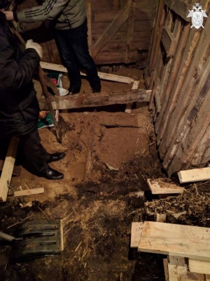 2t6lohtsw-g.jpg 2t6lohtsw-g.jpg