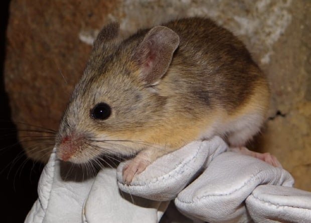 znupx1xEwm.jpg znupx1xEwm.jpg