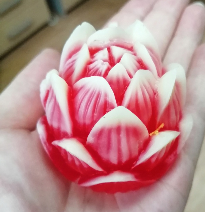 ScBNKOLB364.jpg ScBNKOLB364.jpg