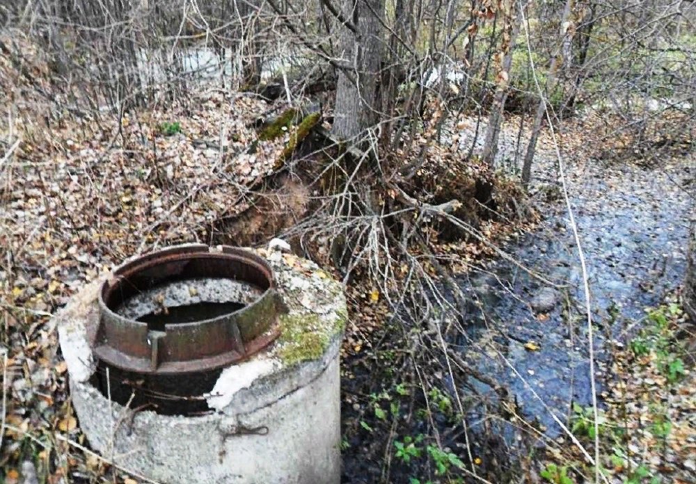 hozgBnMXcS.jpg hozgBnMXcS.jpg