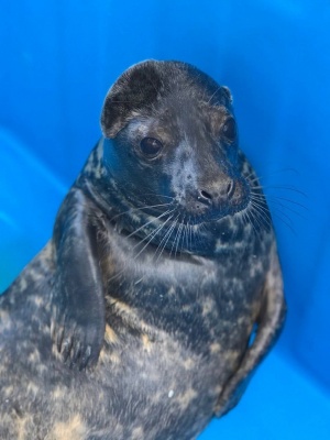 3kaHlN_tlAxEM1PeQSSzRsHqq2n0-gvHJkVYAbuKfmf4Au9V9kFd_agMzXpA0PGgGs6KBB2imci1BII-w-l3TRLK.jpg 3kaHlN_tlAxEM1PeQSSzRsHqq2n0-gvHJkVYAbuKfmf4Au9V9kFd_agMzXpA0PGgGs6KBB2imci1BII-w-l3TRLK.jpg