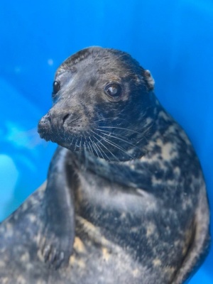 5eAZhAI6-Cnv8LtBCtWjKiS1HIsE7c3HPhdOaaO3i3n2t8IcioUShzoUhmeFnGBC1w_Mq5Re3BR5oUDmAKNfpenp.jpg 5eAZhAI6-Cnv8LtBCtWjKiS1HIsE7c3HPhdOaaO3i3n2t8IcioUShzoUhmeFnGBC1w_Mq5Re3BR5oUDmAKNfpenp.jpg