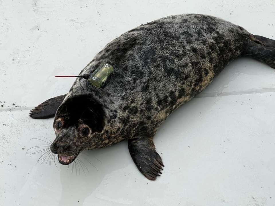 yPhlvm7j1g.jpg yPhlvm7j1g.jpg