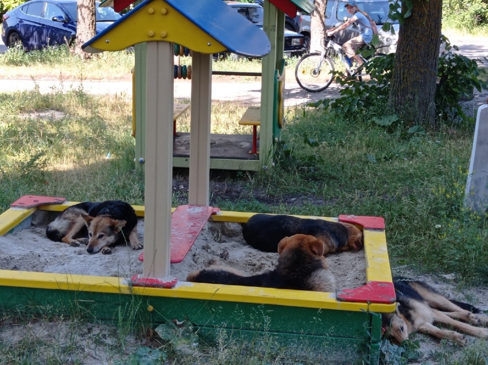 mUcV9uZGudk.jpg mUcV9uZGudk.jpg