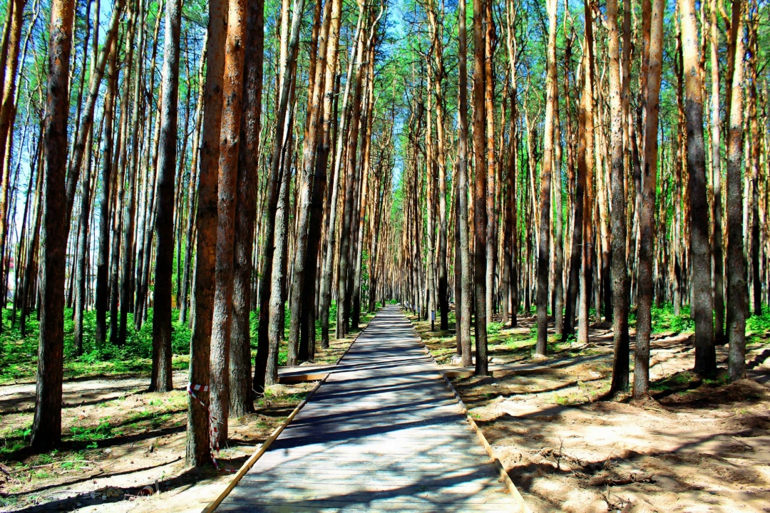 ul6UVgD_Q6w.jpg ul6UVgD_Q6w.jpg