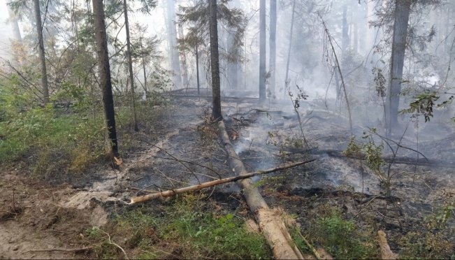 F1RBv7mtum.jpg F1RBv7mtum.jpg