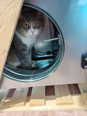 F8J9pcPWtlw.jpg F8J9pcPWtlw.jpg