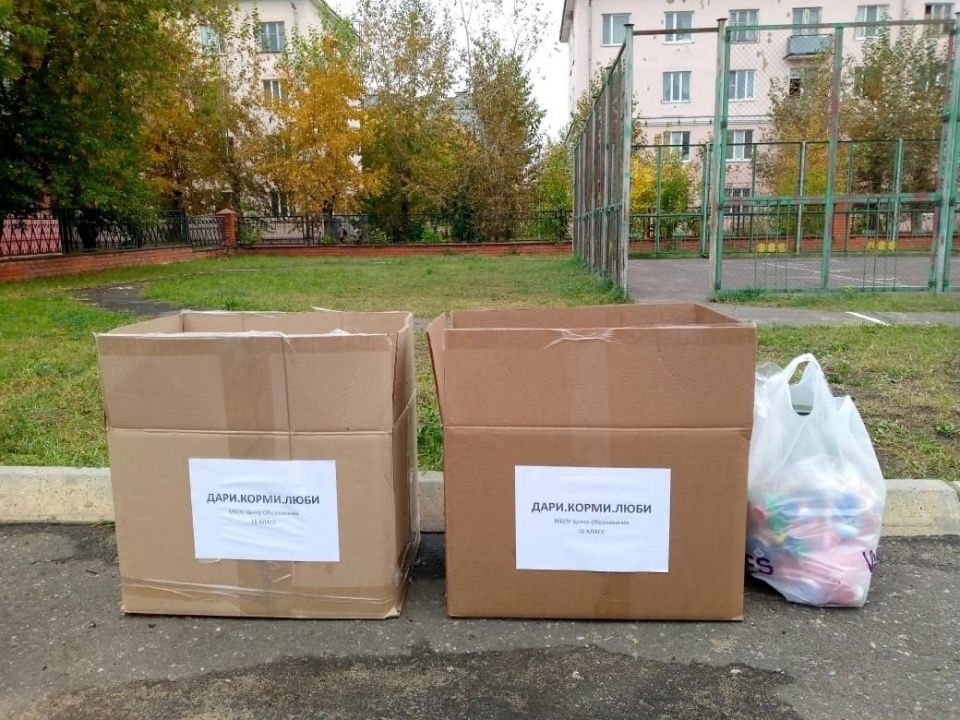 V6LMfOSdlkg.jpg V6LMfOSdlkg.jpg