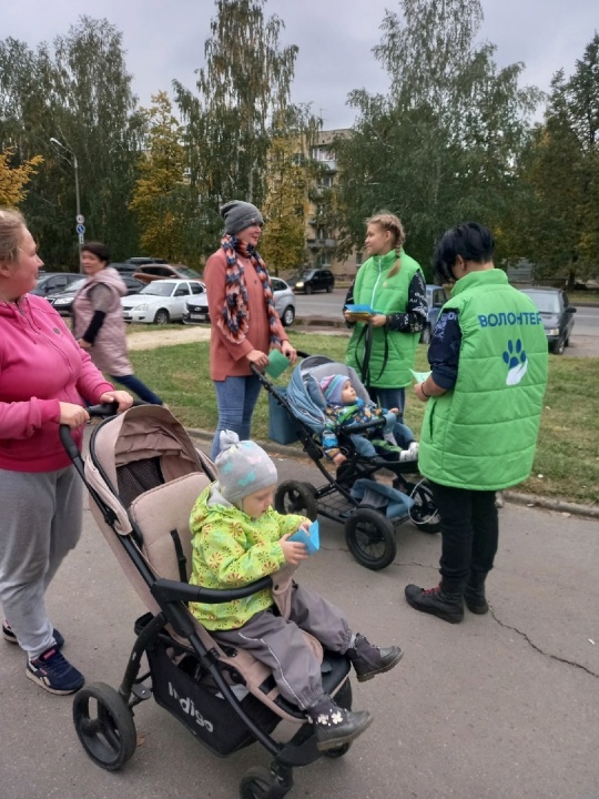 ibWDF7urh5I.jpg ibWDF7urh5I.jpg