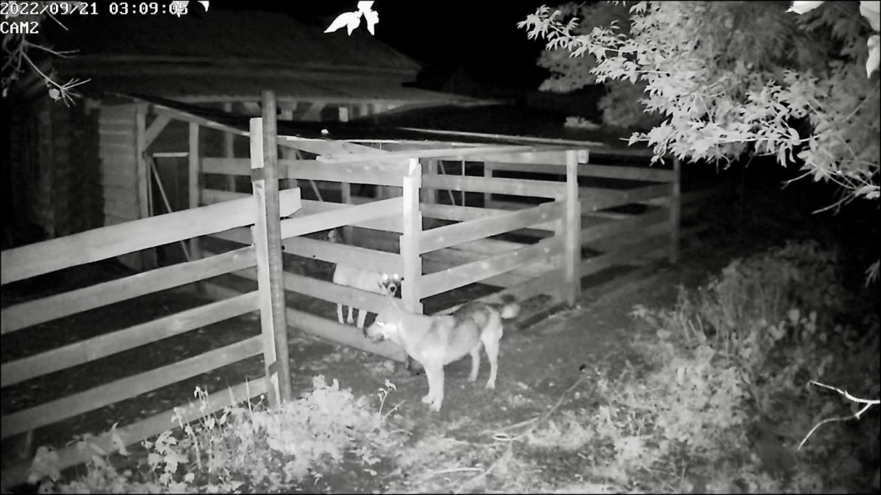 8lPuAN4Slc.jpg 8lPuAN4Slc.jpg