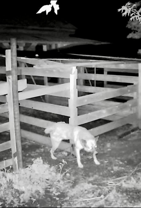 JBvB9rZWF6.jpg JBvB9rZWF6.jpg