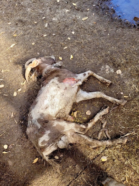 oNKlck2BLb.jpg oNKlck2BLb.jpg