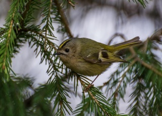 0Xo4zzOfg7Y.jpg 0Xo4zzOfg7Y.jpg