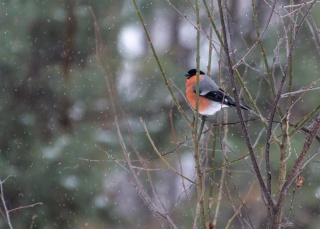 o9nBNPj4lkw.jpg o9nBNPj4lkw.jpg