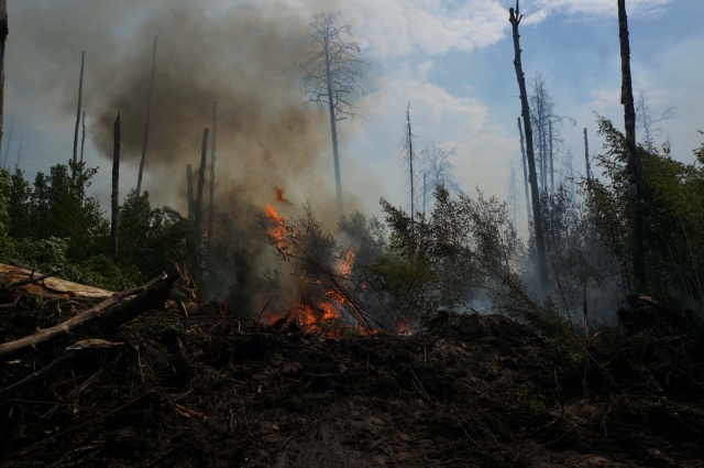 1_iO-qtVpCp8U.jpg 1_iO-qtVpCp8U.jpg