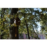 Зелень_2.jpg Зелень_2.jpg