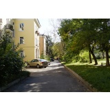 Зелень_3.jpg Зелень_3.jpg