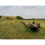 Хопёр-5.jpg Хопёр-5.jpg