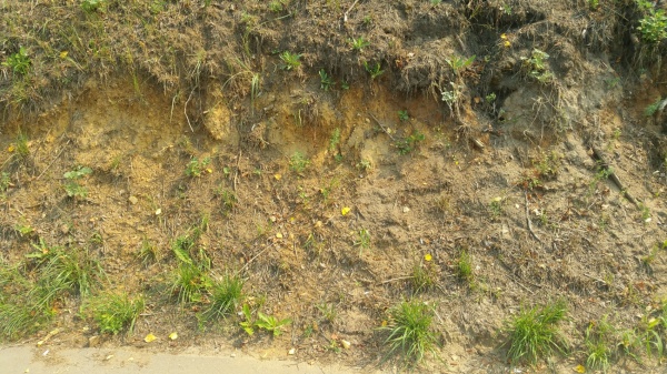 20210805_115826.jpg 20210805_115826.jpg