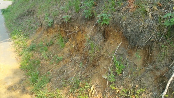 20210805_115902.jpg 20210805_115902.jpg