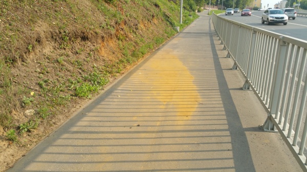 20210805_170523.jpg 20210805_170523.jpg