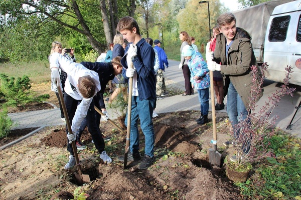 Кусты-2.jpg Кусты-2.jpg