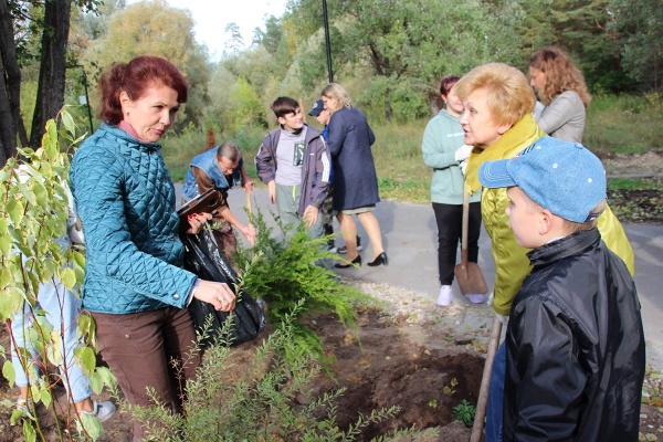 Кусты-3.jpg Кусты-3.jpg