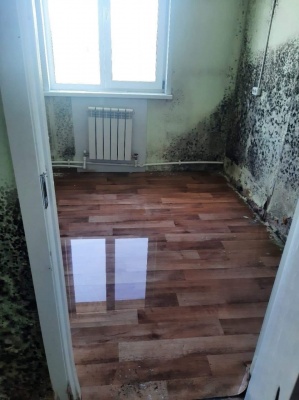 фп-3.jpg фп-3.jpg