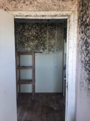 фп-4.jpg фп-4.jpg