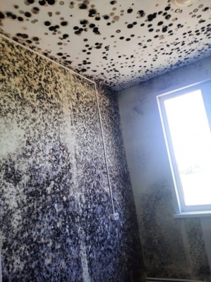 фп-5.jpg фп-5.jpg