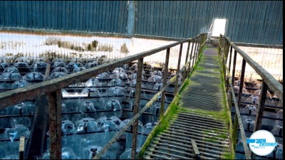 ТЭЦ-1.jpg ТЭЦ-1.jpg