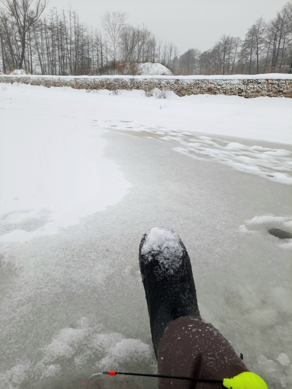 Рыба-2.jpg Рыба-2.jpg