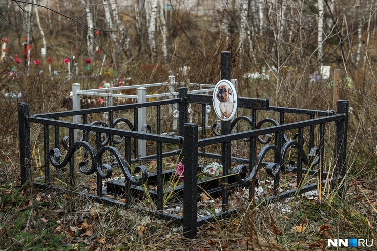 Кладбище-3.jpg Кладбище-3.jpg