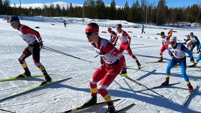 Лыжи-2.jpg Лыжи-2.jpg