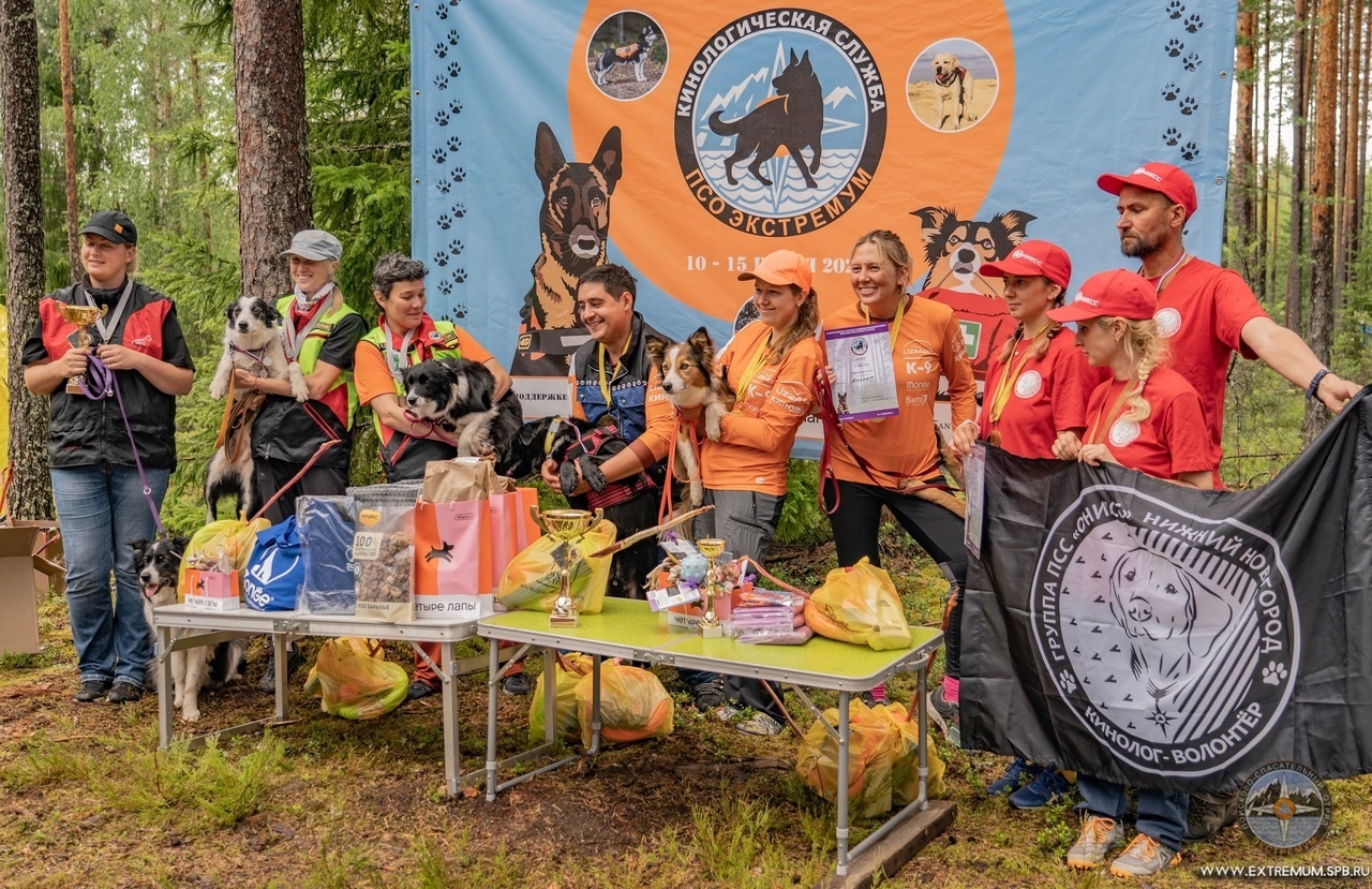 Собака-7.jpg Собака-7.jpg