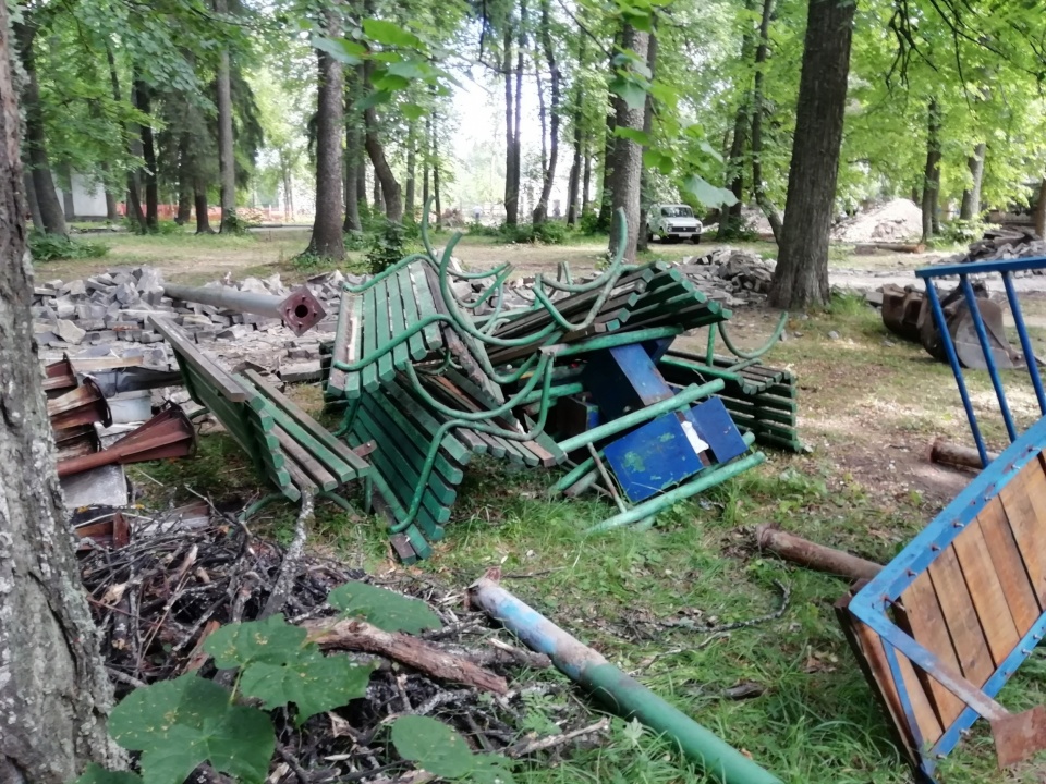 Сосина-2.jpg Сосина-2.jpg