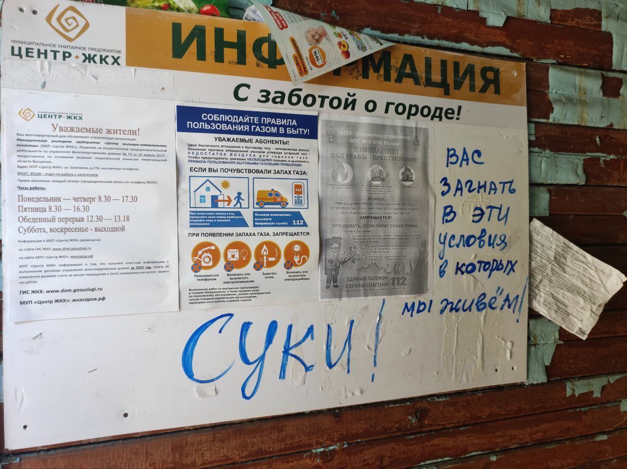 Суки.jpg Суки.jpg