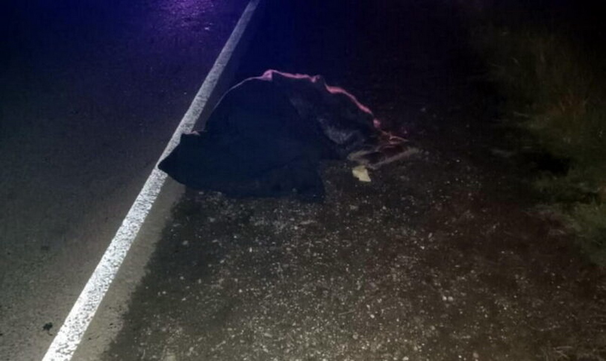 ДТП-3.jpg ДТП-3.jpg