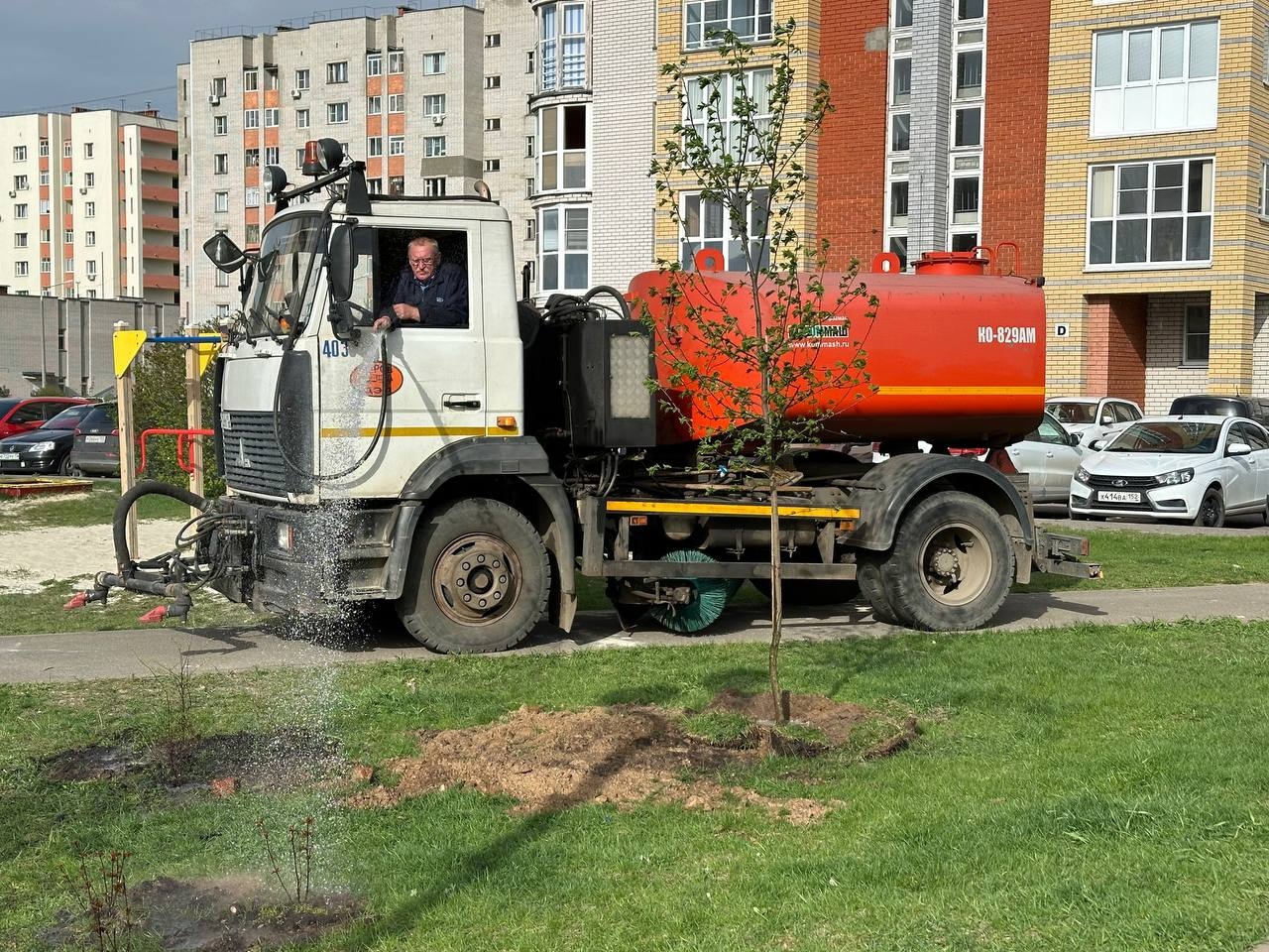 Аллея-8.jpg Аллея-8.jpg