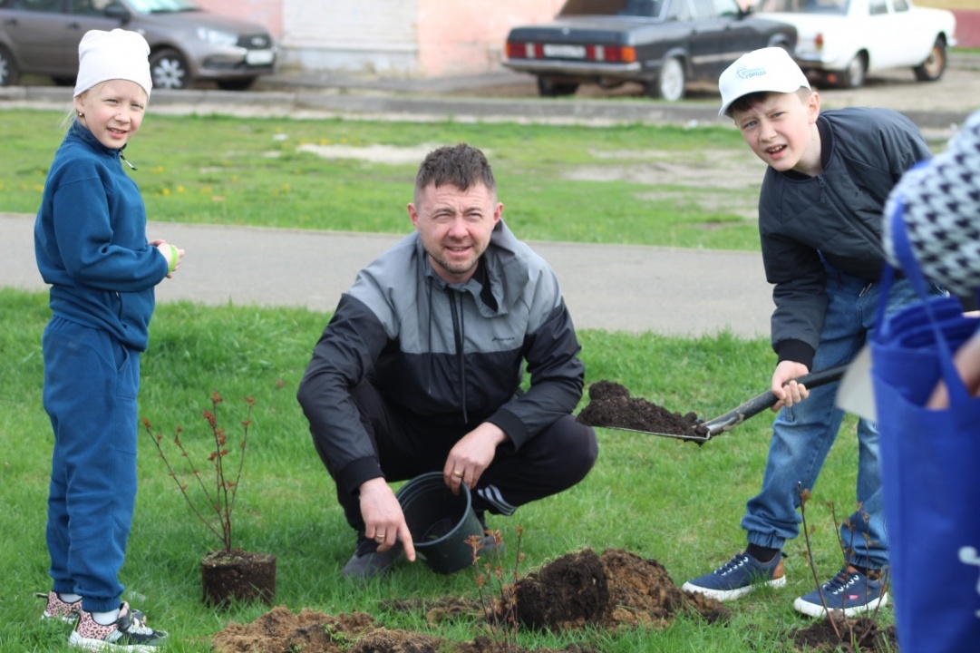 Аллея-9.jpg Аллея-9.jpg