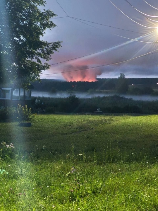 Свиньи-1.jpg Свиньи-1.jpg