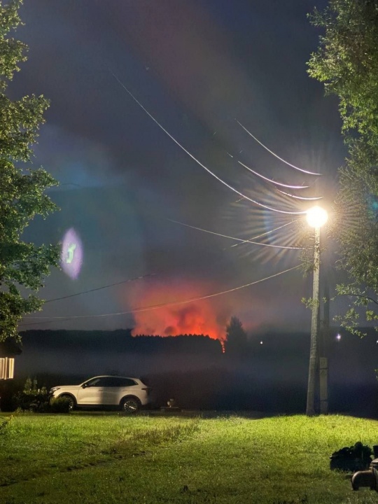 Свиньи-2.jpg Свиньи-2.jpg