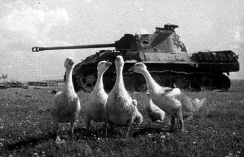 Сожженный немецкий танк PzKpfw V &laquo;Пантера&raquo; на белорусском поле.