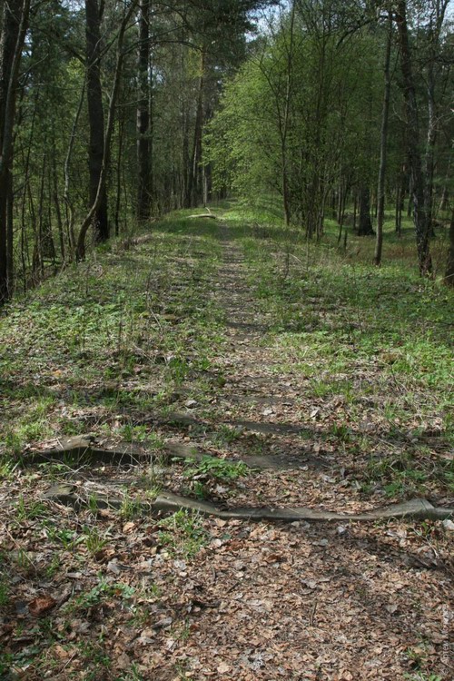 Смоленск: у бункера Гитлера