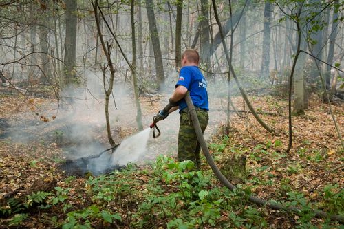 Тушение низового пожара