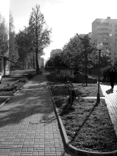 Центральная улица