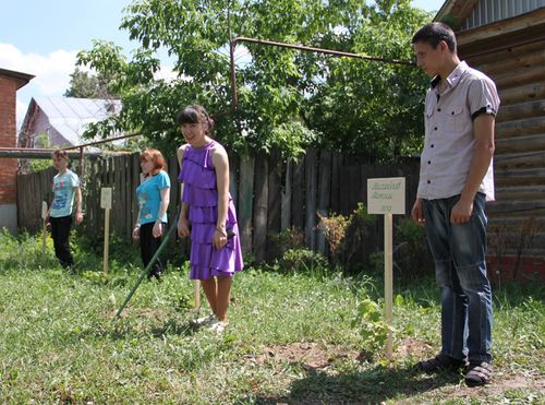 Выпускники посадили свою аллею