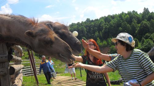 В зоопарке "Сафари"